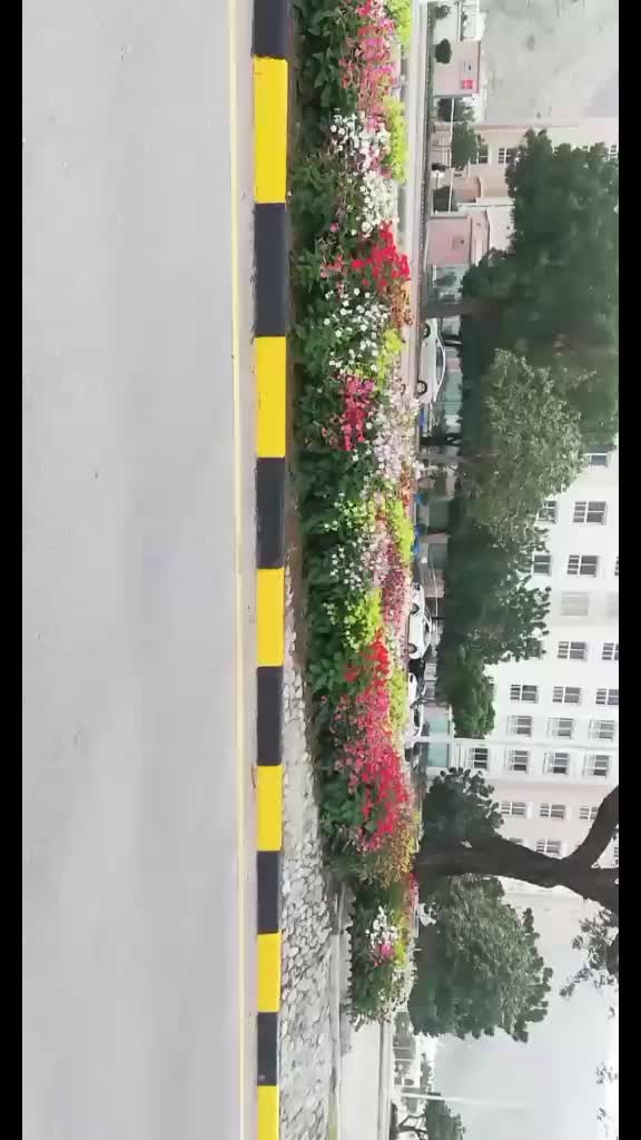 @Dipti Sunil hegde