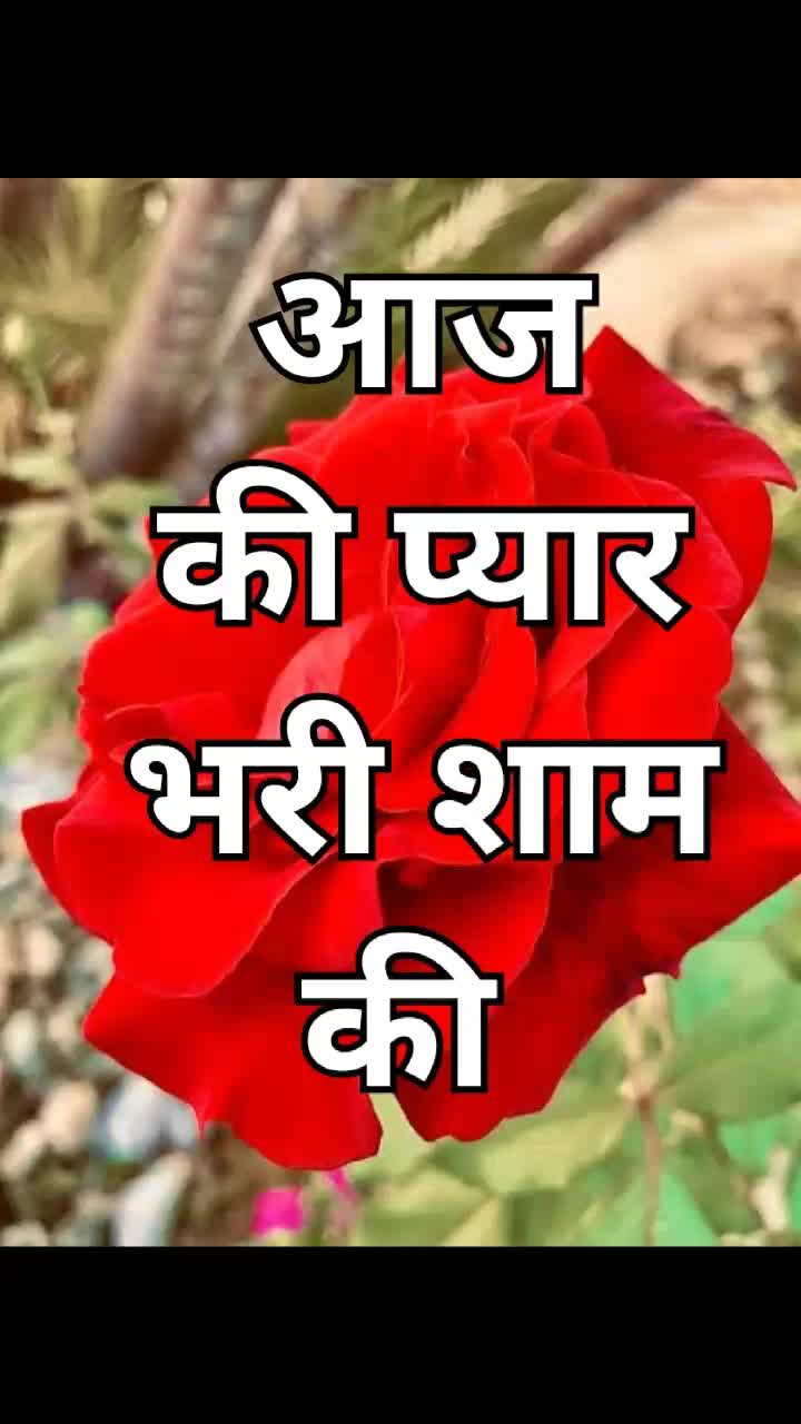 @Mr_Kc_Chandel