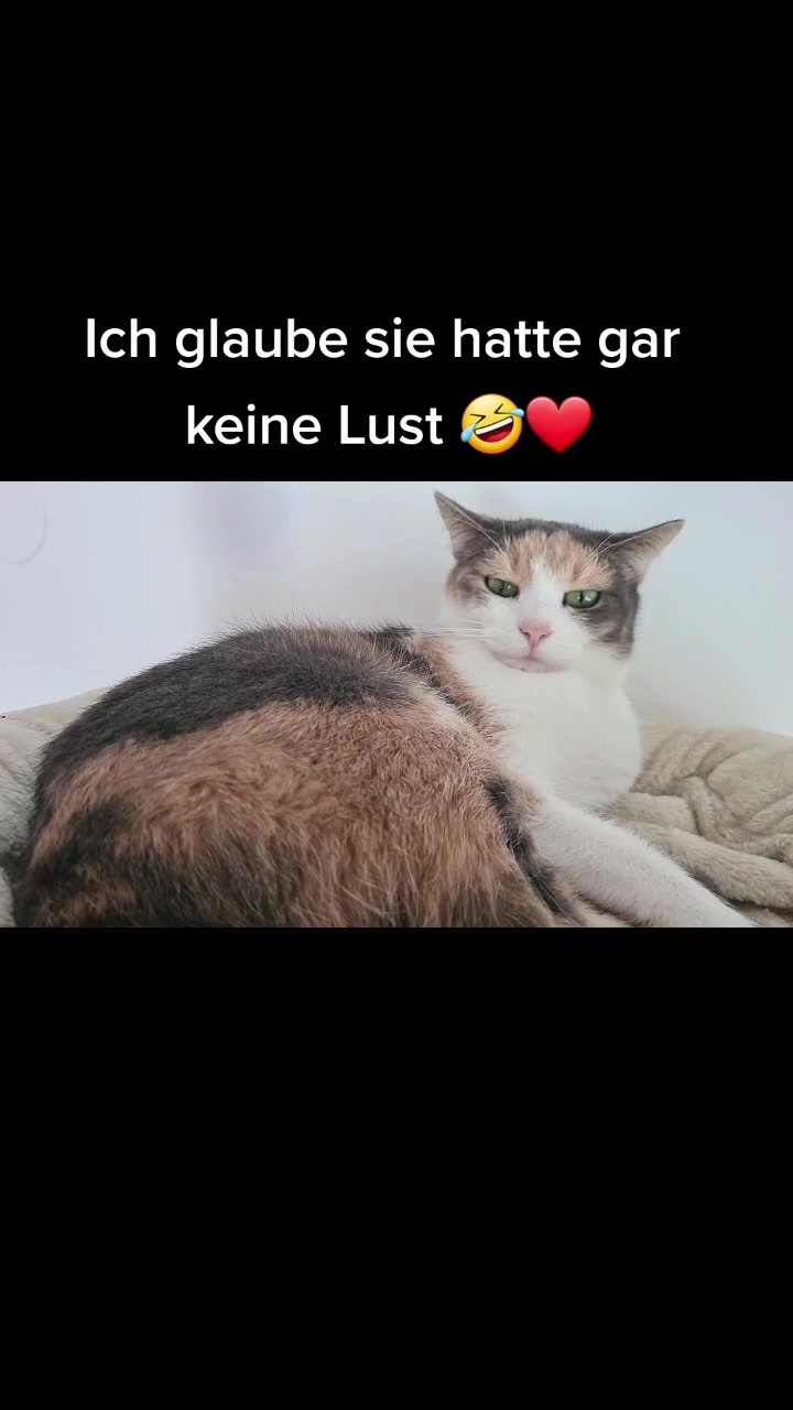 @5KidCat