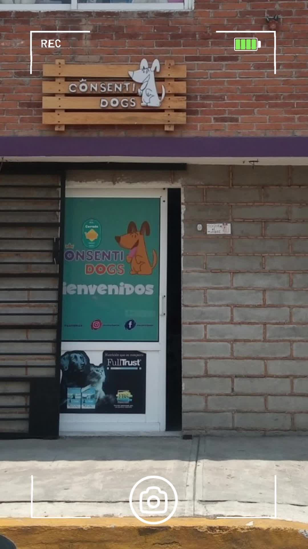 @🐶Consentidogs🐶