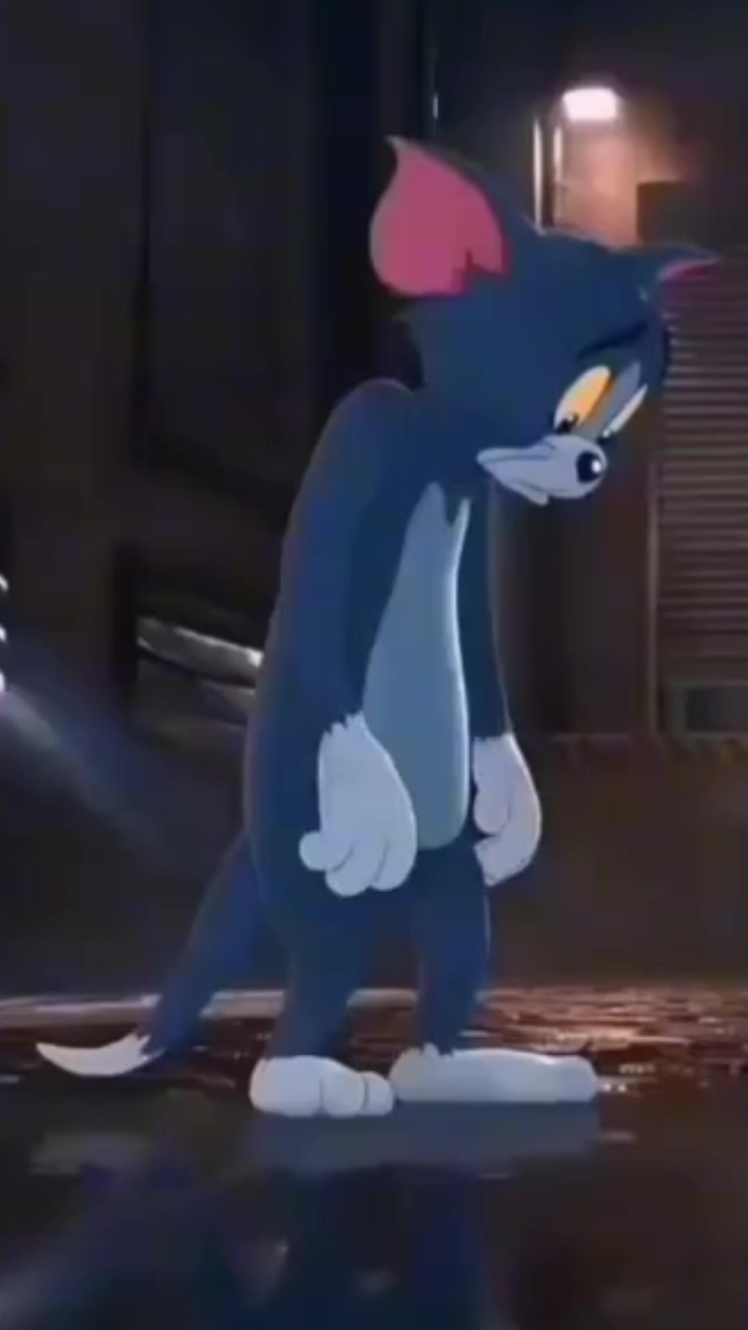 @๐๐ฆ๐ฐ๐ ๐๐ฆ๐ ๐ฅ๐ข๐ฉ๐ฉ๐ข