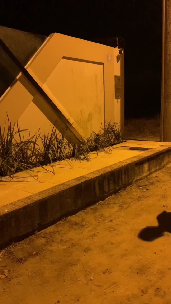 @Pedro Monte