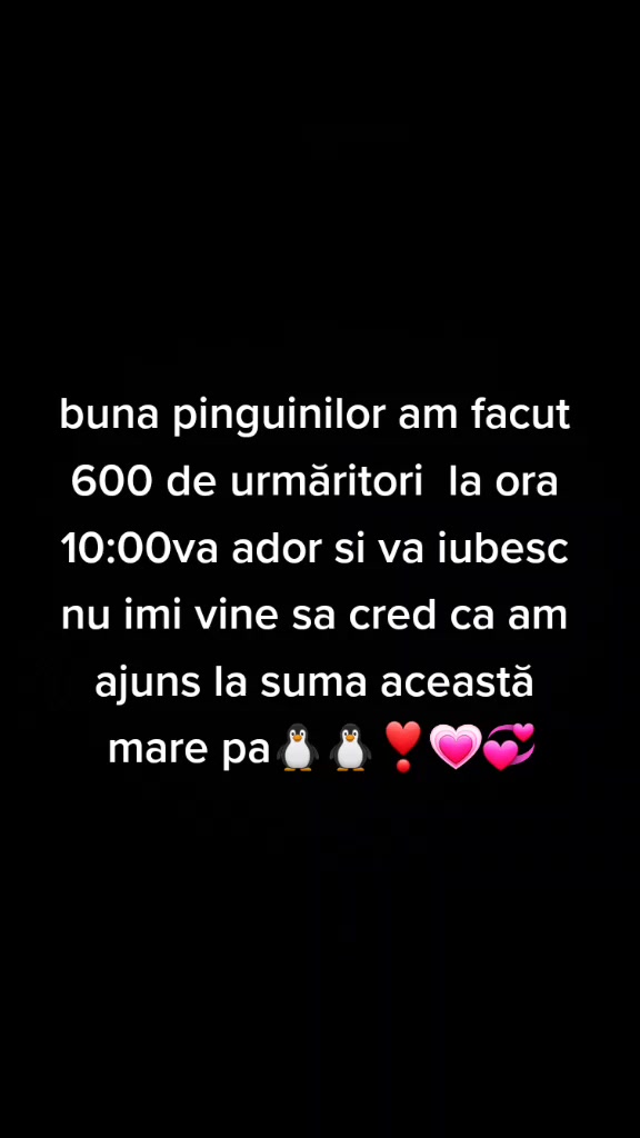 @🐧THE CUTE PENGUIN🐧