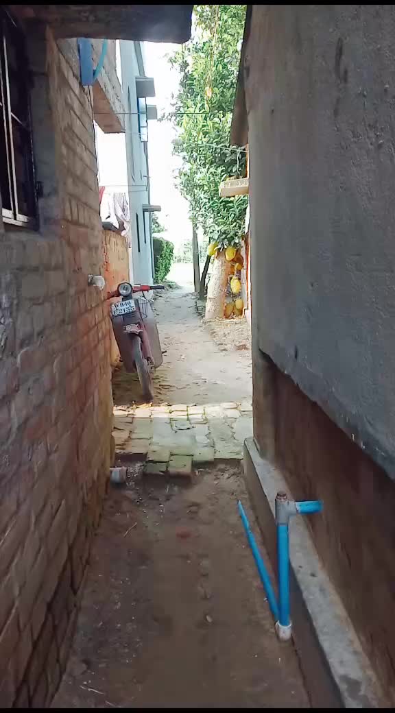 @mou_sikder_sonai08