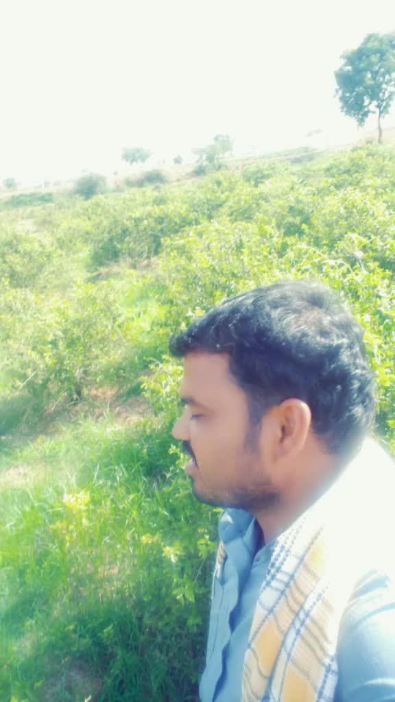 @Nagaraj Dollin