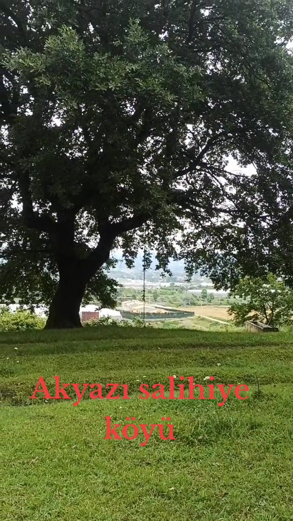 @Nail samastı