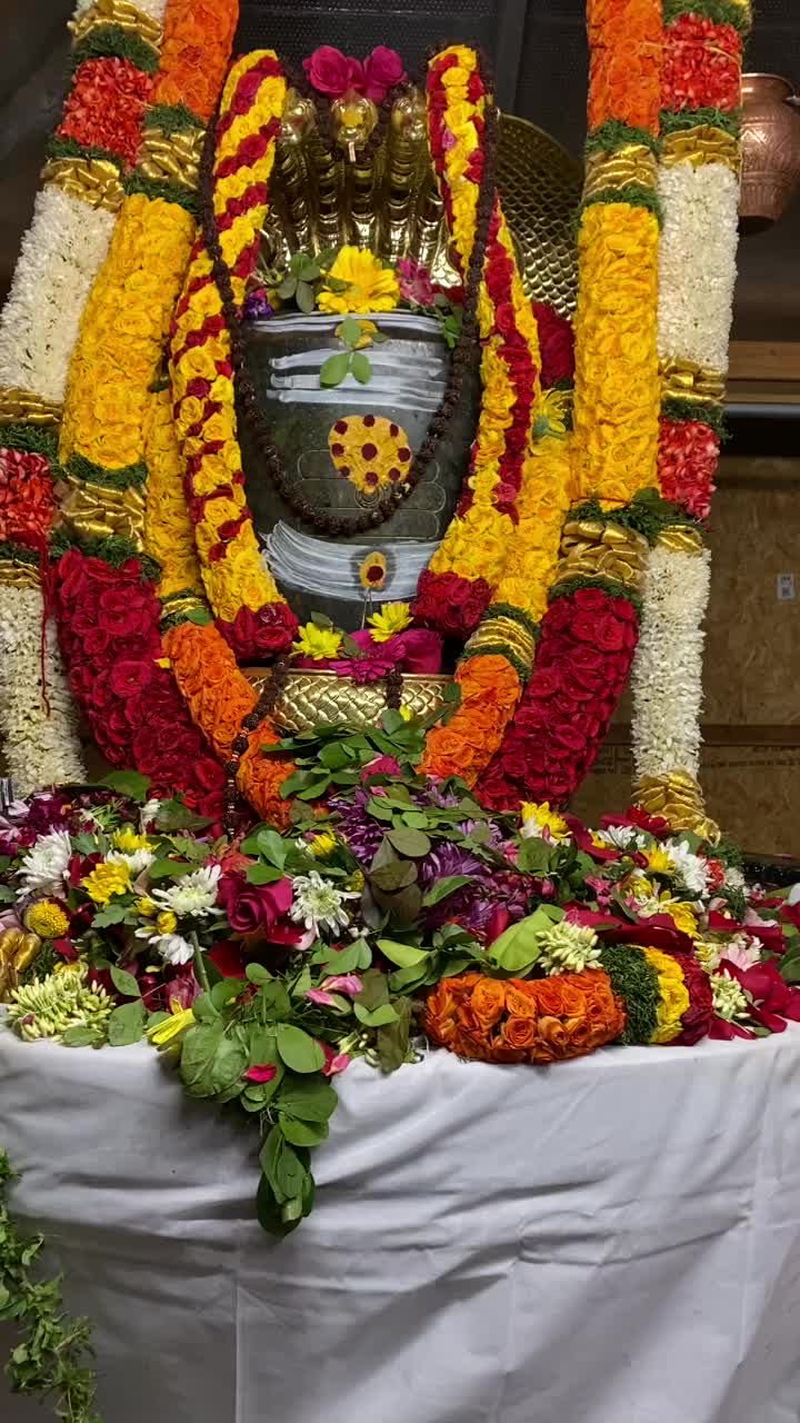 @Venkat Shanmuga