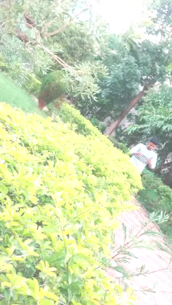 @Krishna