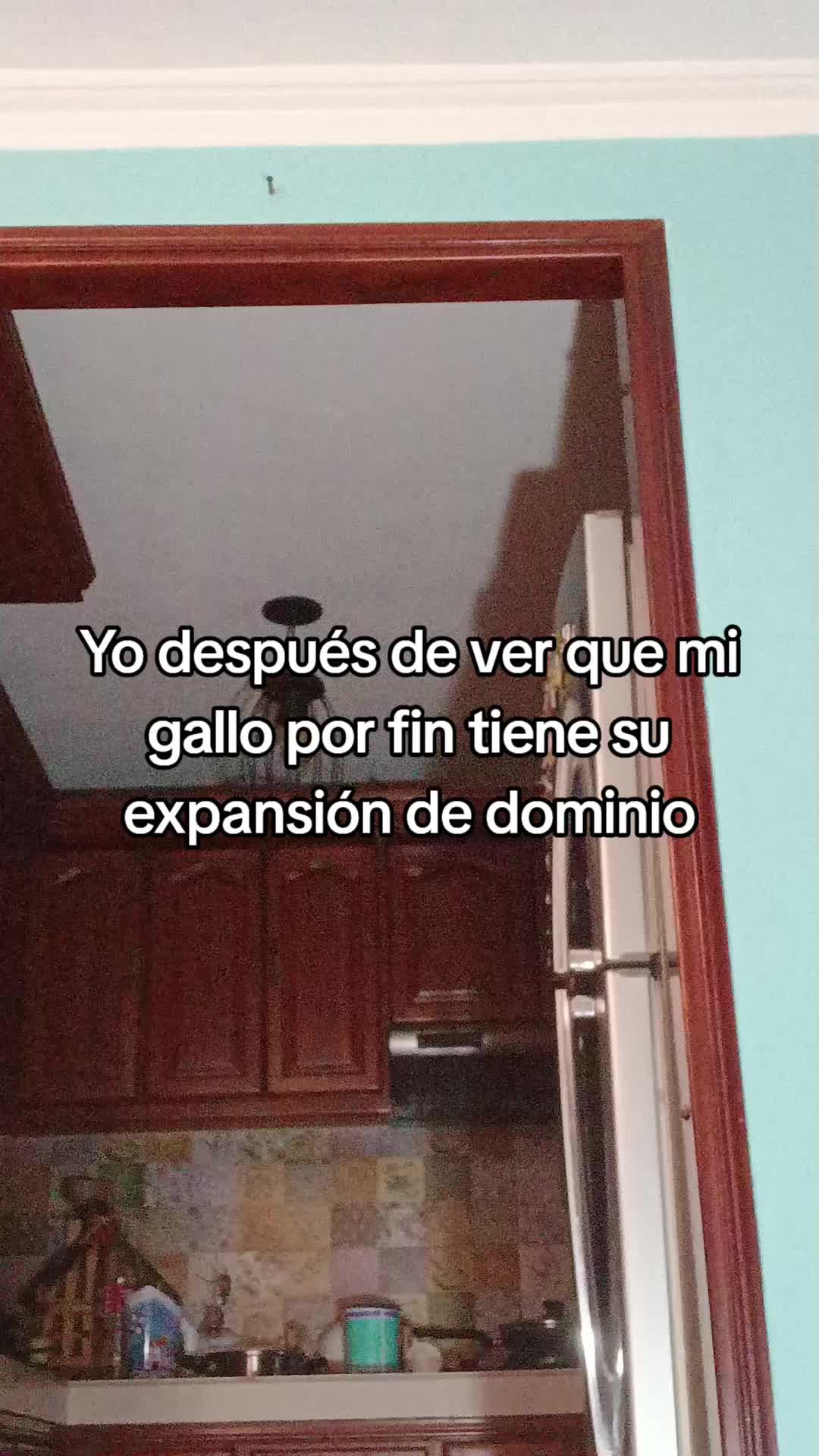 @toma_s0905