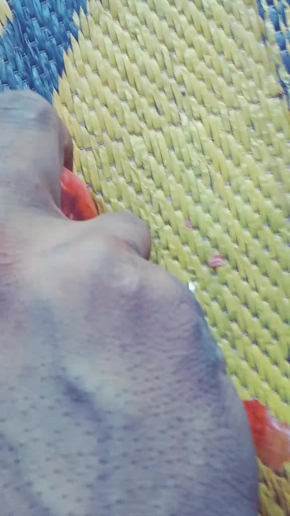 @mdsakil786