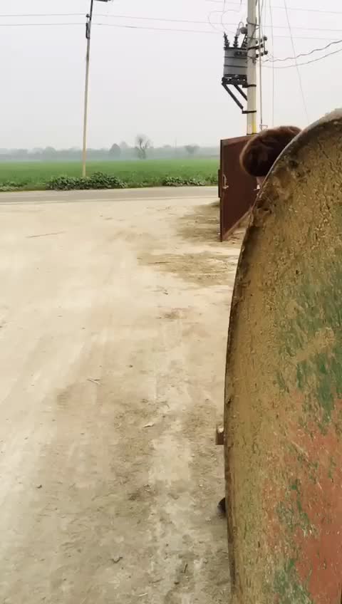 @chohansaab