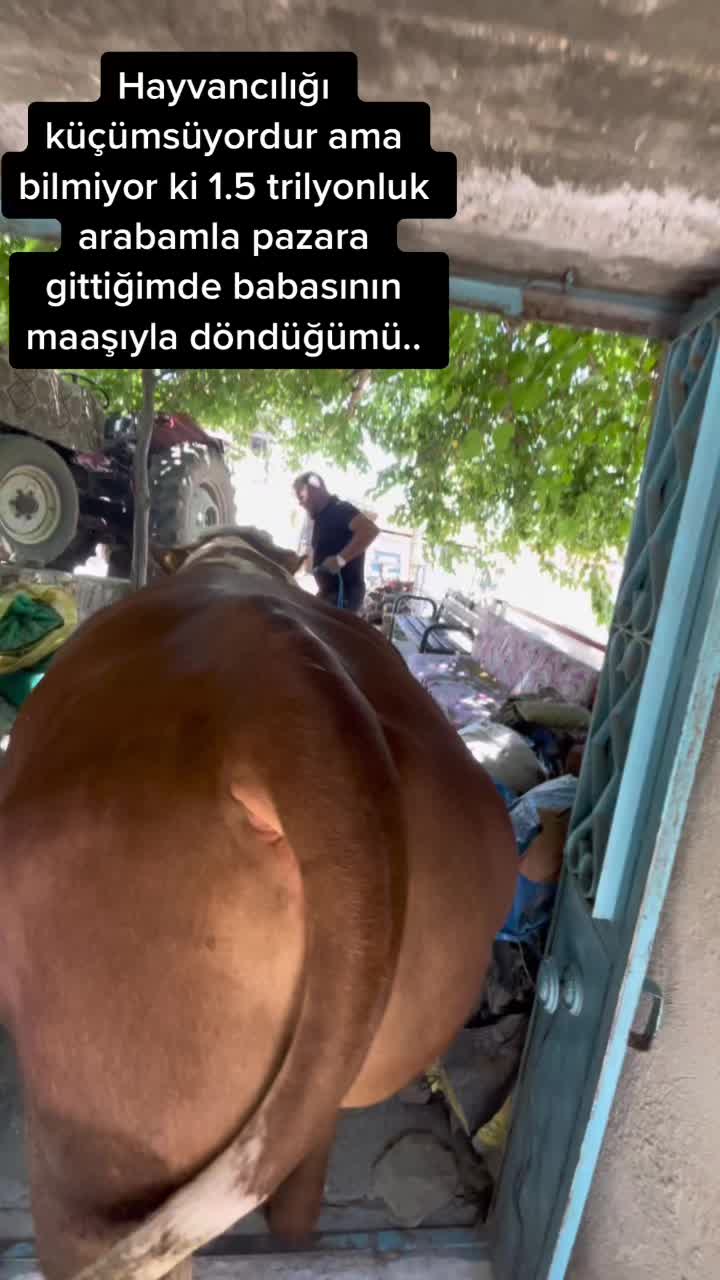 @Turgay Uşan