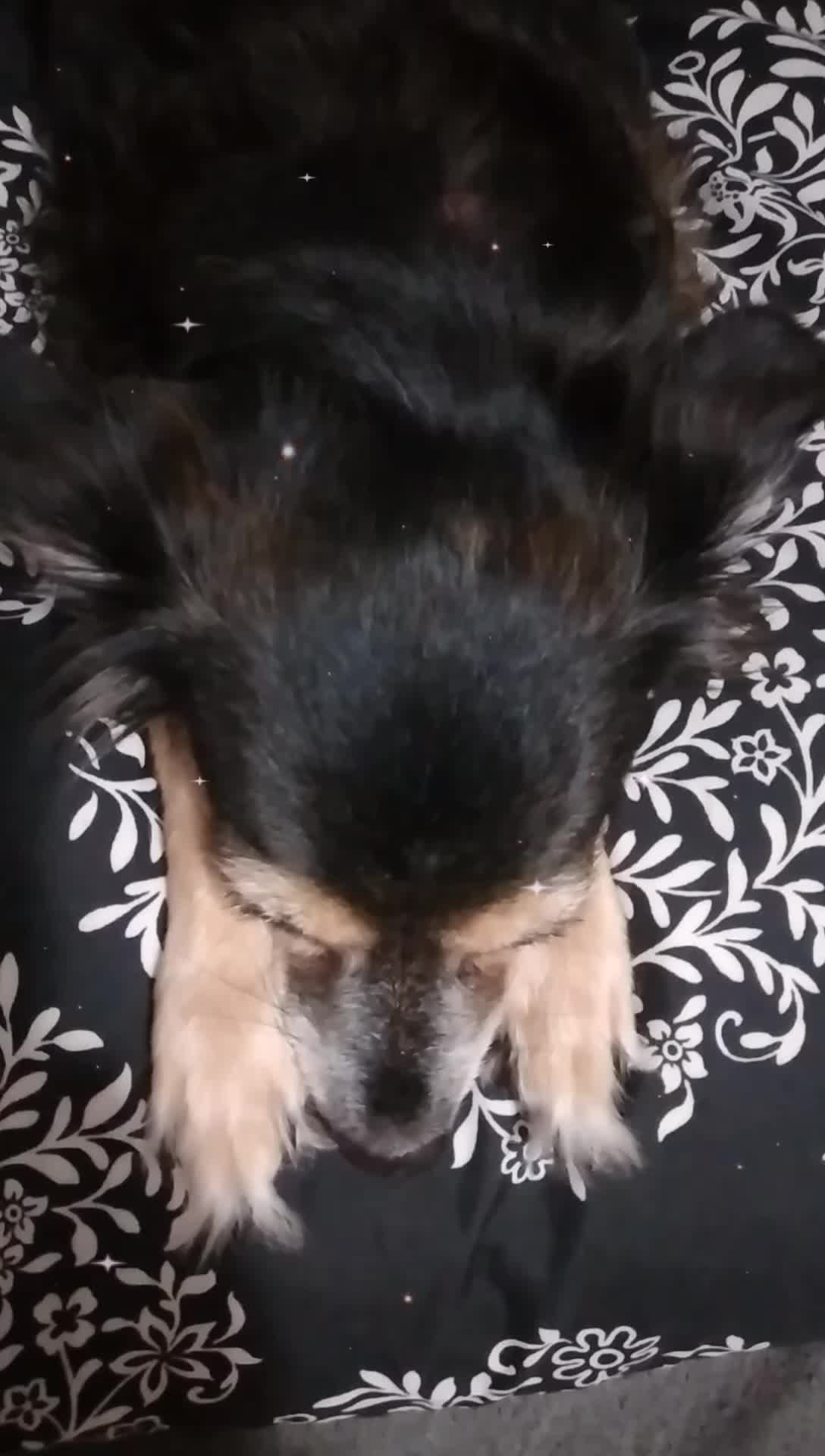 @ƊƠƓMЄƛƬ