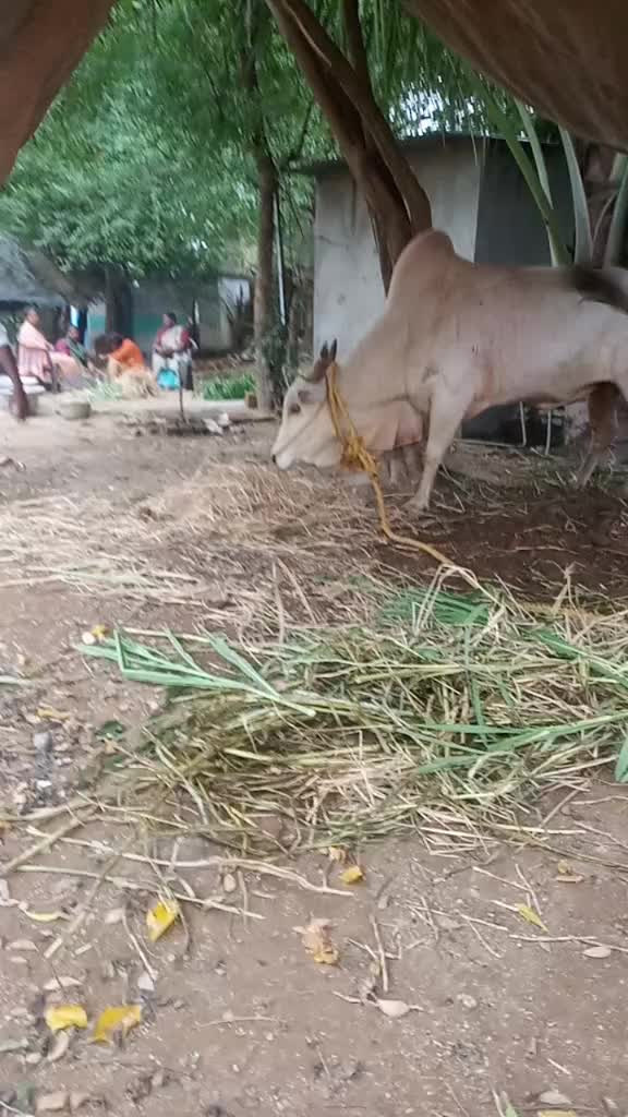 @Lokeshvijay