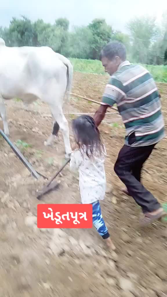 @राजपूत जयपालसिंह
