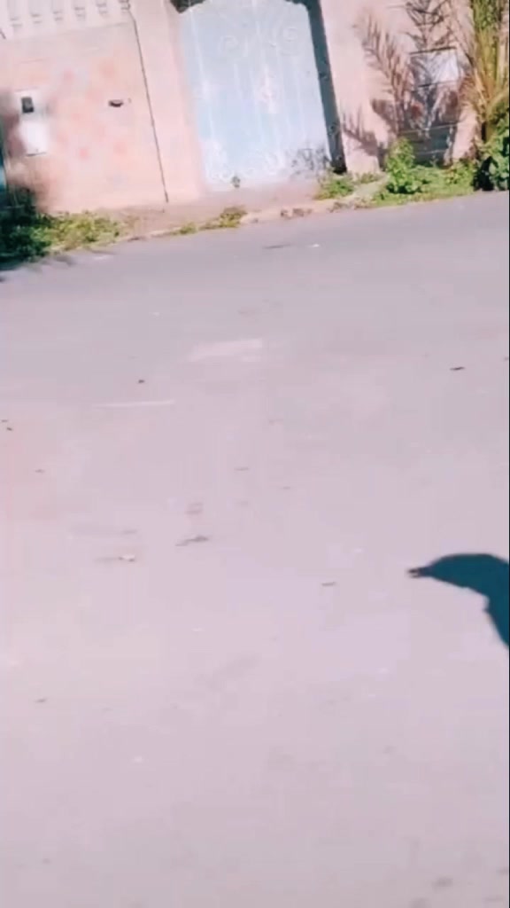 @مول ضحيكة😁😛