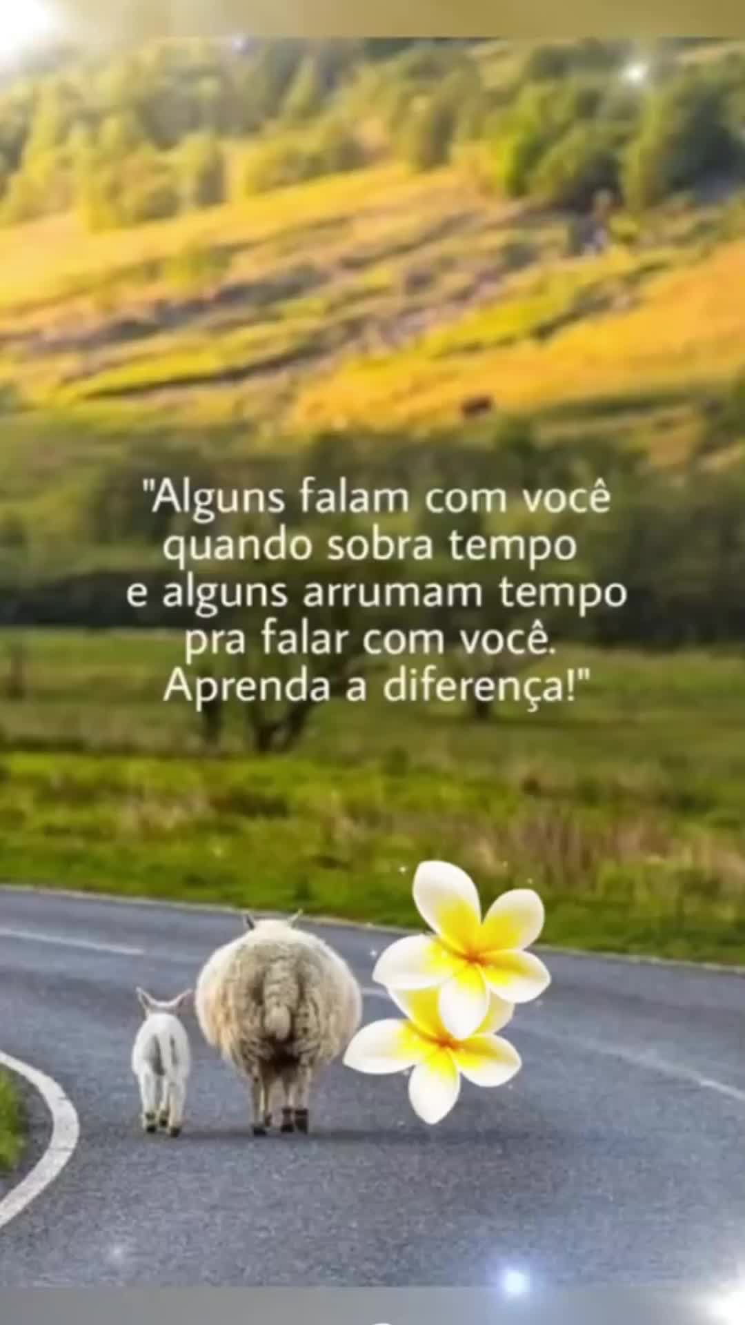 @liria🍃