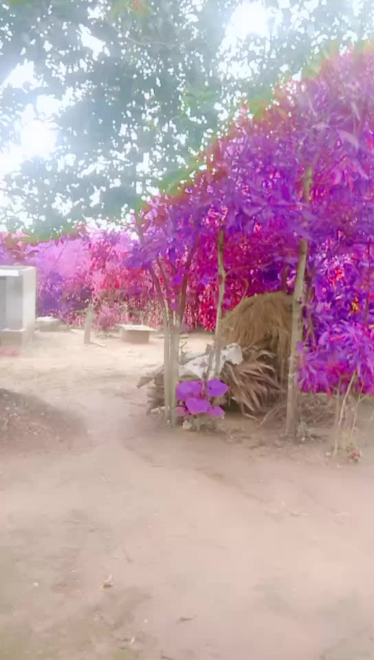 @Shankar Nayak