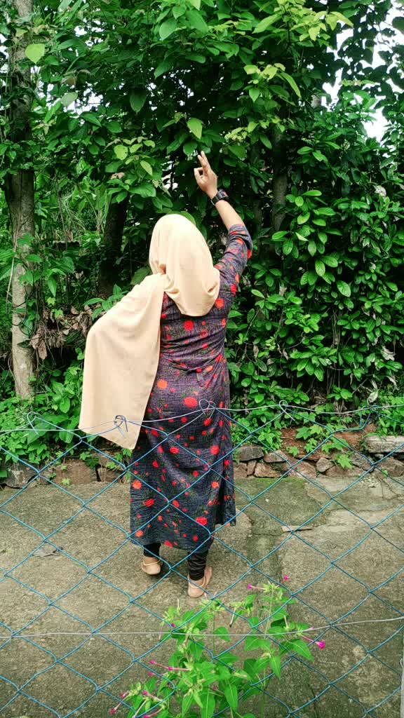 @Kunjappu Shornur
