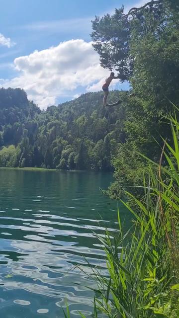 @HANDL_DIVING