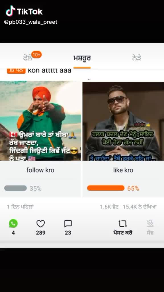 @anil_birda01