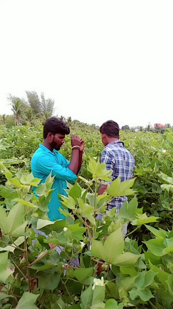 @ss sundar