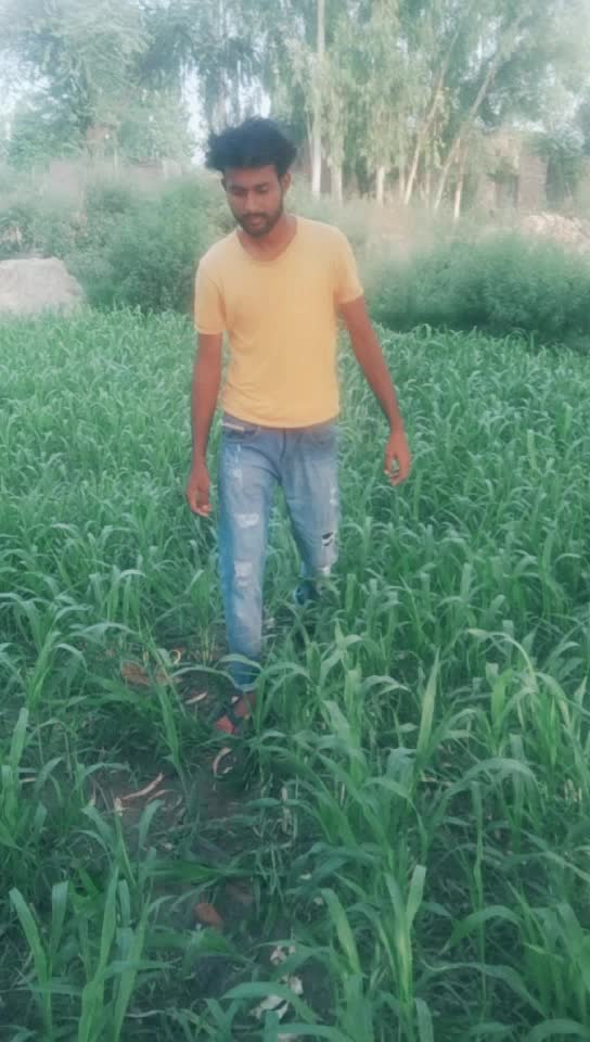 @Daljit chiti