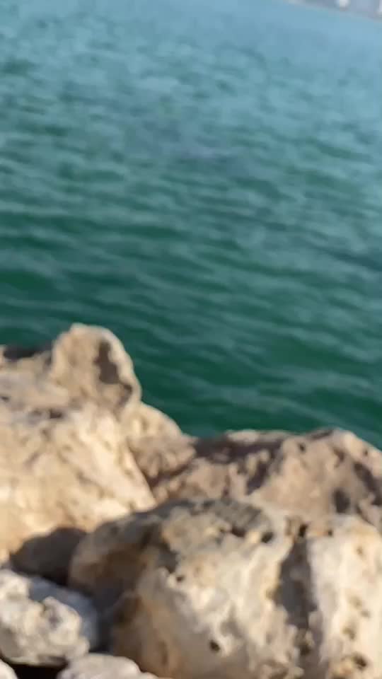 @Iju