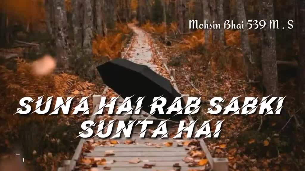 @Md Mohsin Bhai 53978