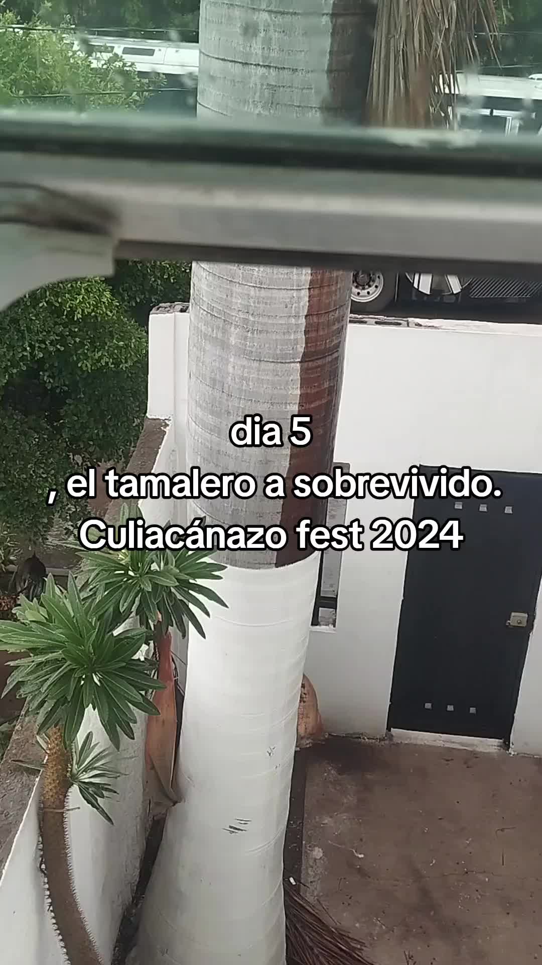 @la loca del volante