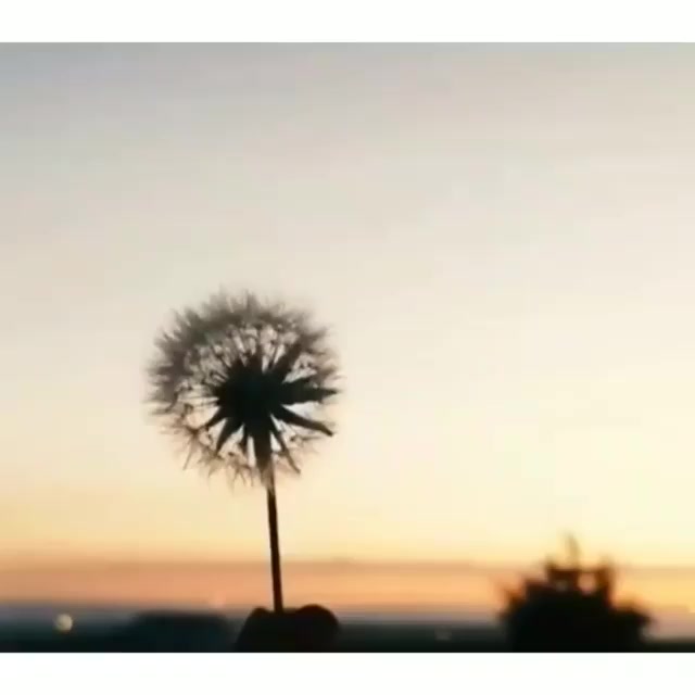 @heyv🌙