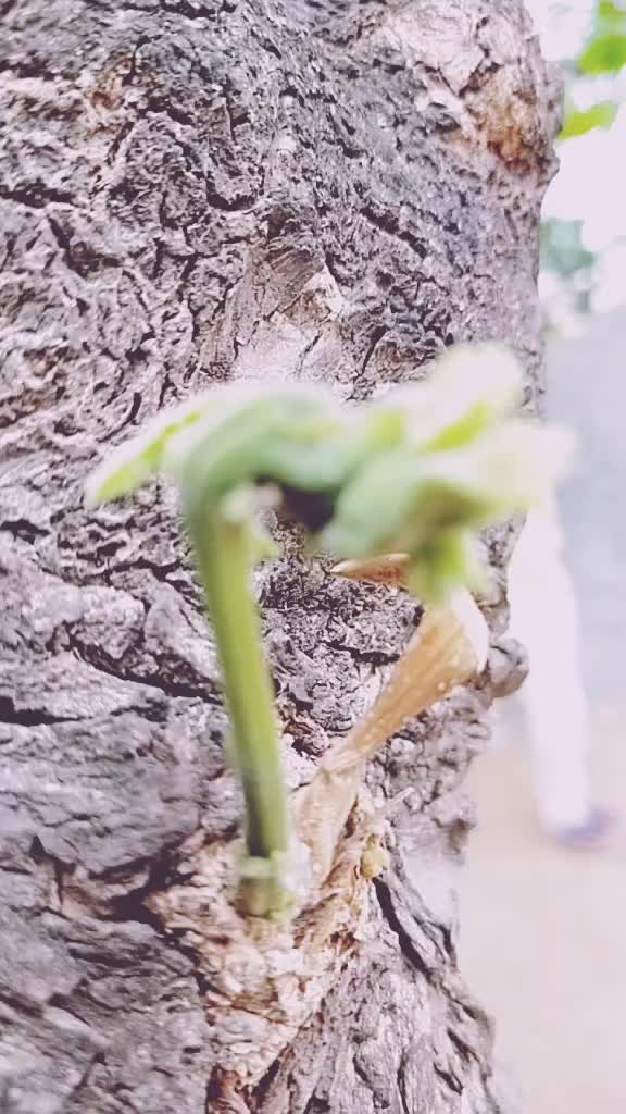 @DMB photography ...