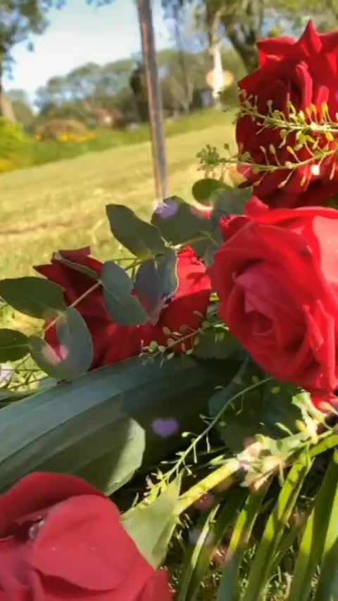 @afsana_149
