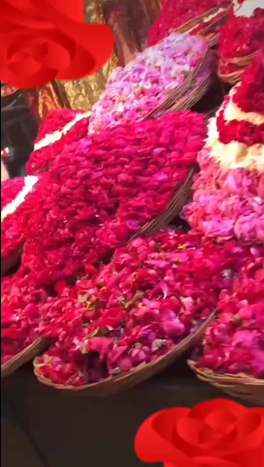 @Insha_khan_Anam Fati