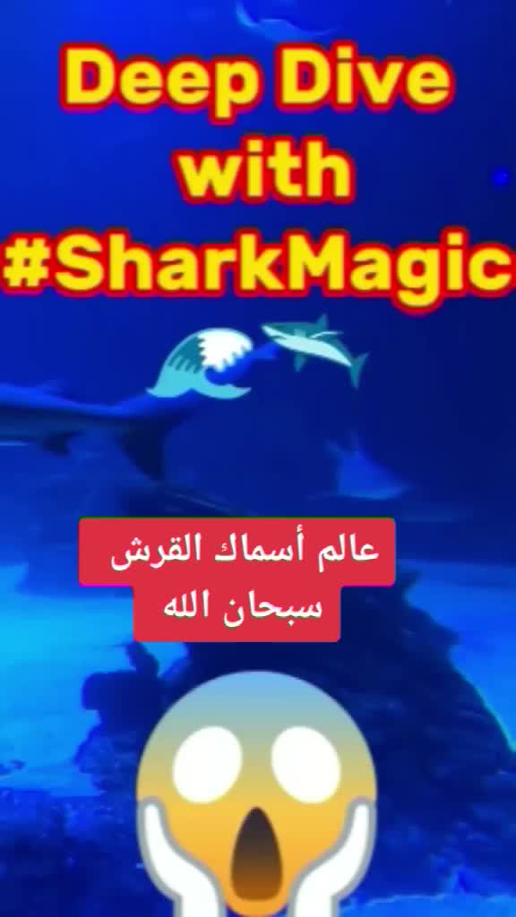 @عالم الحيوانات والطبيعة