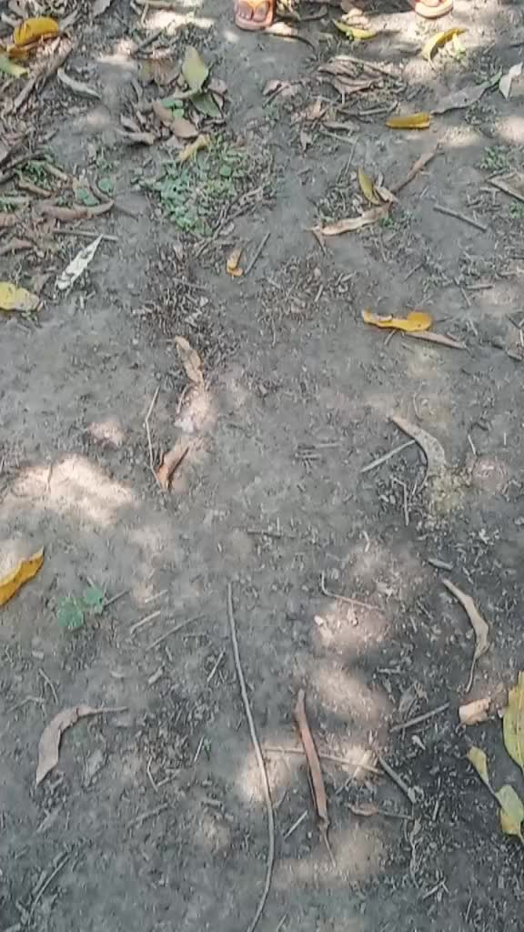 @sheelu gaharwar