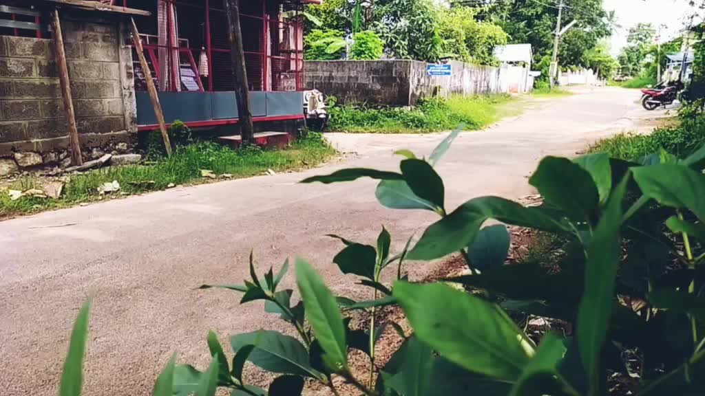@_moto.holic.boy_