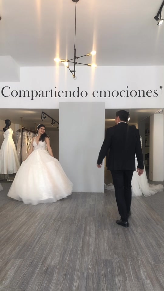 @artemisanoviasags