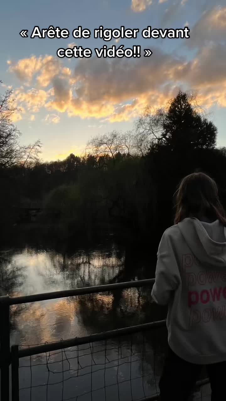 @polsmovv