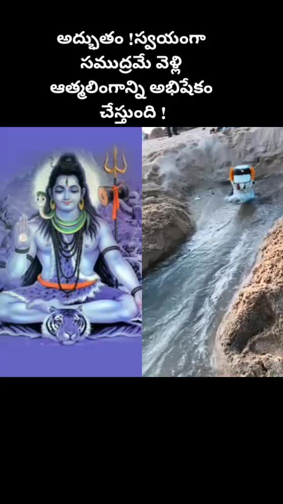 @యశోద కృష్ణా