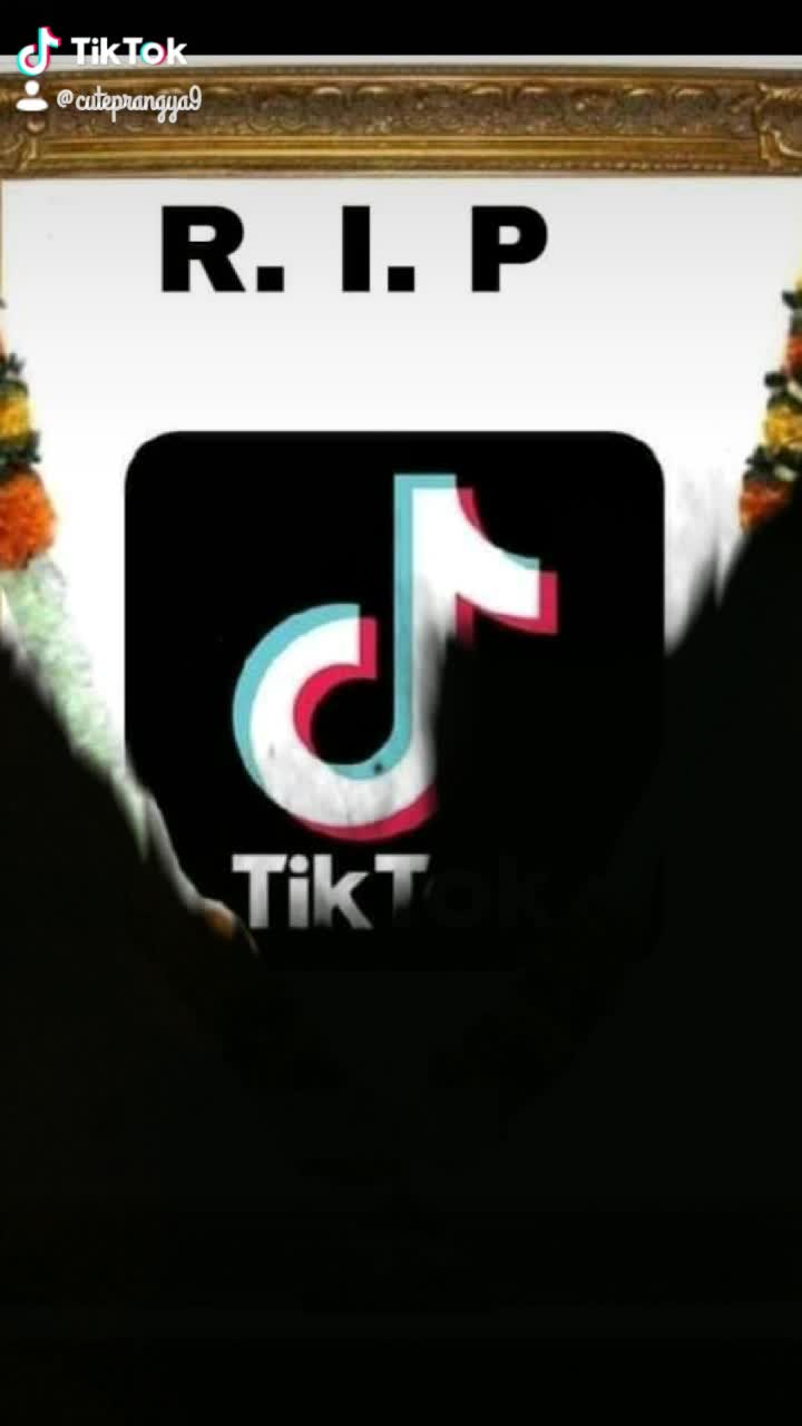 @user5176486874169