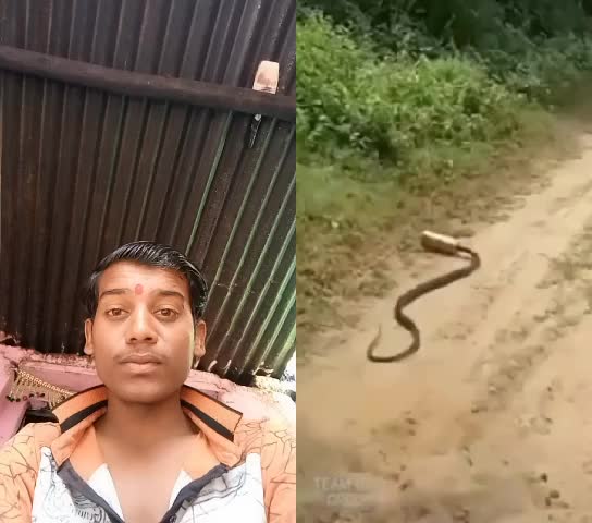 @parksh12345678