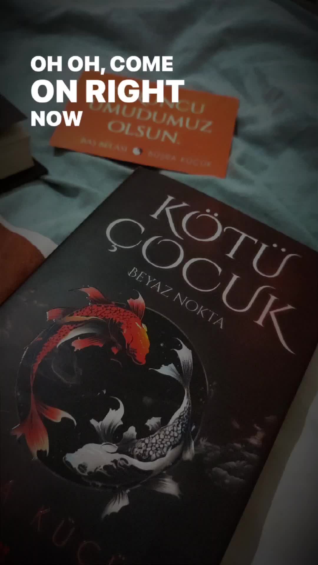 @Saklı Cennet 🩵