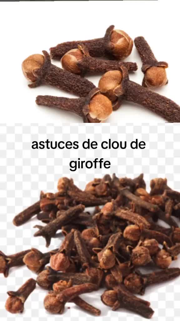 @Rituels d'affection rapide 🇧?