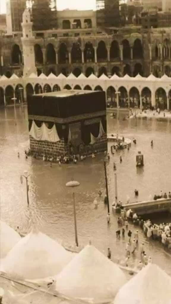 @salmansalman