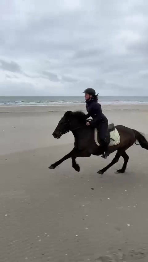 @reiterhof.andresen.amrum