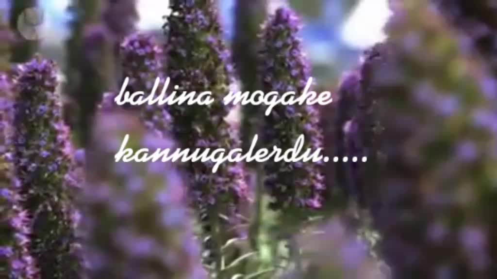 @Naghu R M N