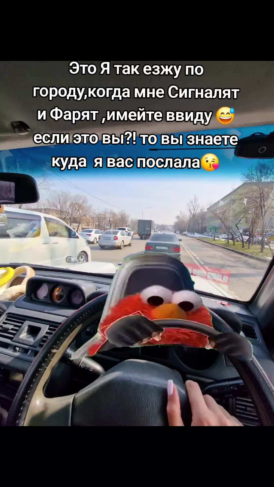 @Dasha Bogdanova
