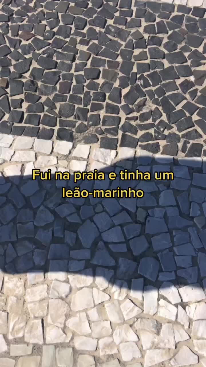 @Giovanna Barella