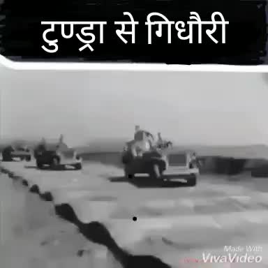 @like karo like pav